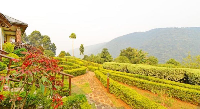 Silverback Lodge Buhoma Экстерьер фото