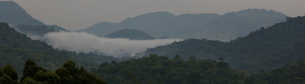 Silverback Lodge Buhoma Экстерьер фото